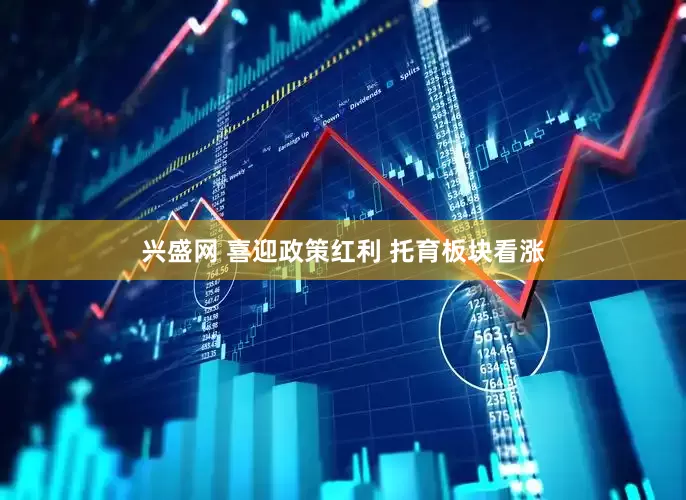 兴盛网 喜迎政策红利 托育板块看涨