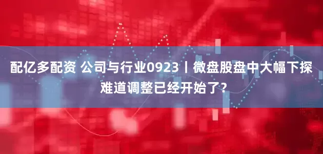 配亿多配资 公司与行业0923丨微盘股盘中大幅下探 难道调整已经开始了?