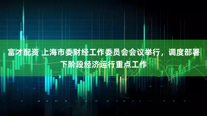 富才配资 上海市委财经工作委员会会议举行，调度部署下阶段经济运行重点工作