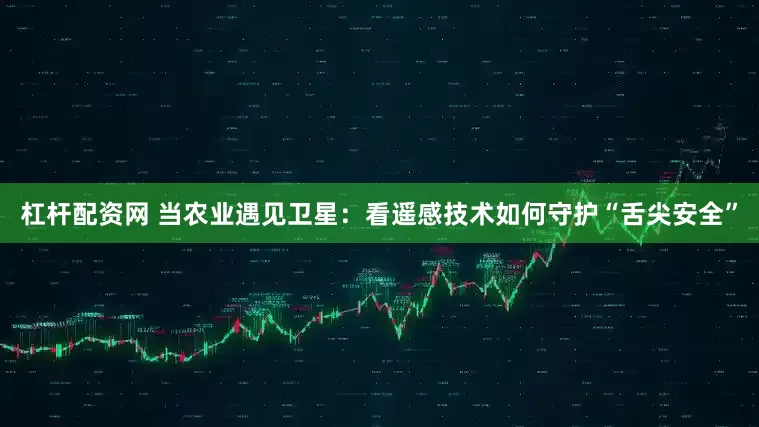 杠杆配资网 当农业遇见卫星：看遥感技术如何守护“舌尖安全”
